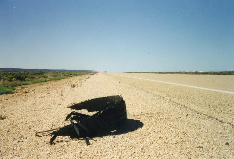 deadtyre.jpg 55.4K
