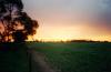 freelingsunset_thumb.jpg 1.9K