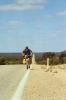 jcb-hilltop_thumb.jpg 1.7K