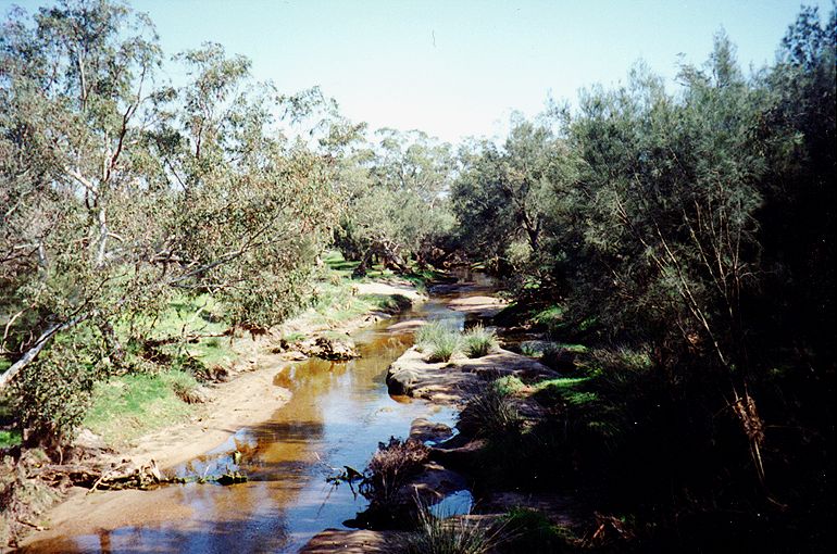 northam-ck.jpg 119.3K