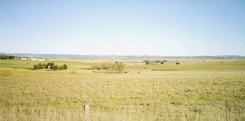 nsw-farmland.jpg 53.9K