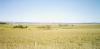 nsw-farmland_thumb.jpg 1.5K