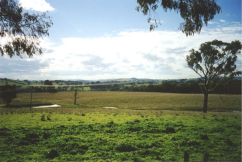 nsw-field.jpg 126.4K