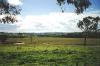 nsw-field_thumb.jpg 2.5K