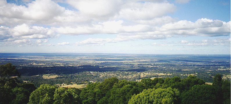 nsw-kurrajong.jpg 61.5K