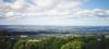 nsw-kurrajong_thumb.jpg 1.6K