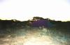 nullabor-camp_thumb.jpg 1.8K