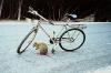 ri-quokka-bike_thumb.jpg 2.5K