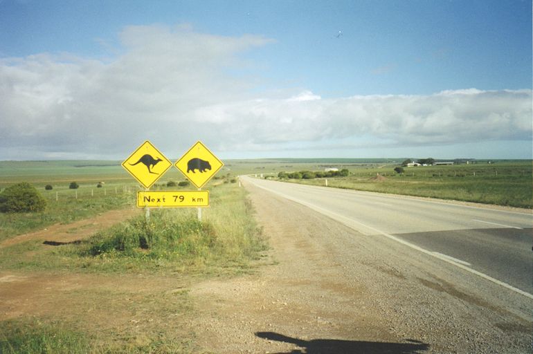 signs-nr-penong.jpg 58.1K