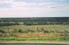 vine-nr-renmark_thumb.jpg 2.0K