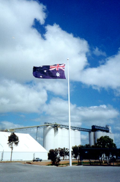 windyflag.jpg 50.7K